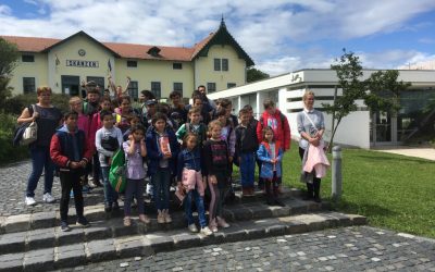 Gyereknapi kirándulás