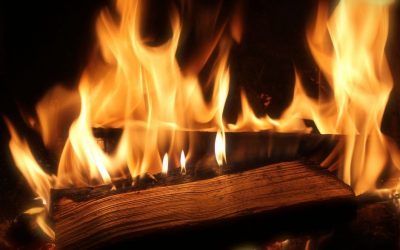 Települési tüzelőanyag támogatás