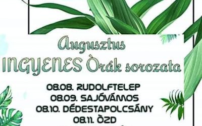 Ingyenes Dance Fitness