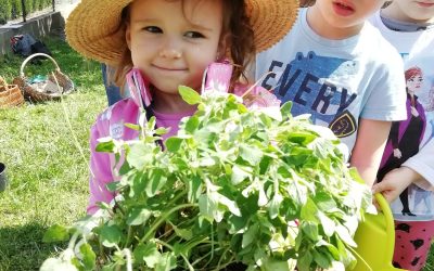 Már az óvodások is tudják