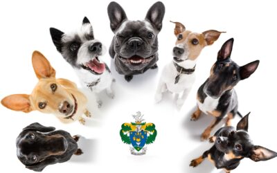 Ebösszeírás – Július 10. – 28.