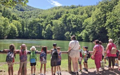 Református Hittan Tábor