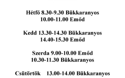 Orvosi szabadság