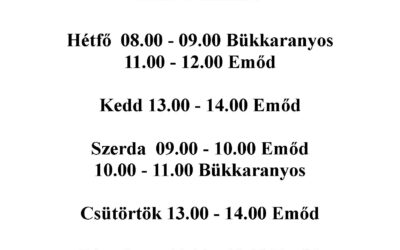 Orvosi szabadság